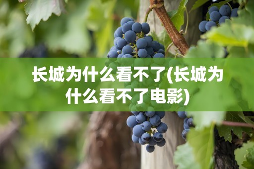 长城为什么看不了(长城为什么看不了电影)