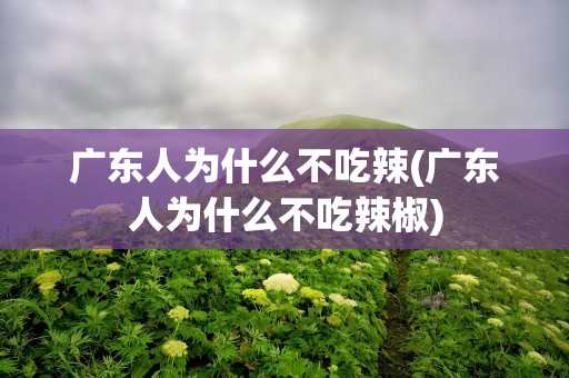 广东人为什么不吃辣(广东人为什么不吃辣椒)