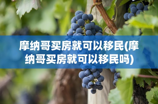 摩纳哥买房就可以移民(摩纳哥买房就可以移民吗)