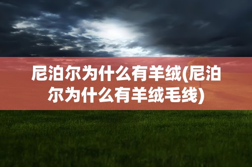 尼泊尔为什么有羊绒(尼泊尔为什么有羊绒毛线)