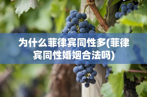 为什么菲律宾同性多(菲律宾同性婚姻合法吗)