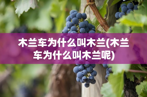 木兰车为什么叫木兰(木兰车为什么叫木兰呢)