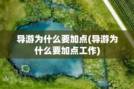 导游为什么要加点(导游为什么要加点工作)