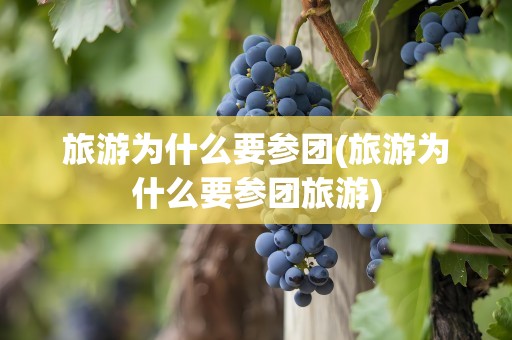 旅游为什么要参团(旅游为什么要参团旅游)