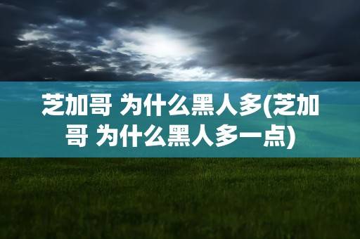 芝加哥 为什么黑人多(芝加哥 为什么黑人多一点)