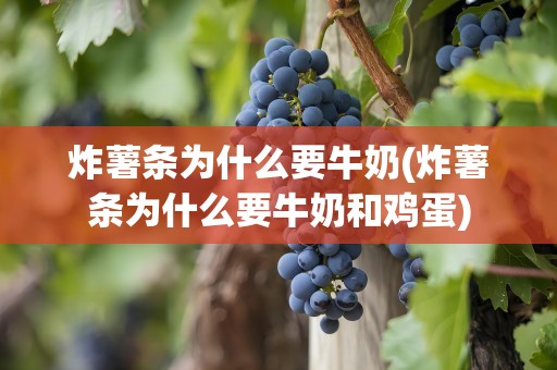 炸薯条为什么要牛奶(炸薯条为什么要牛奶和鸡蛋)