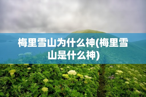 梅里雪山为什么神(梅里雪山是什么神)
