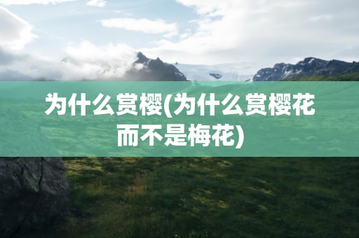 为什么赏樱(为什么赏樱花而不是梅花)