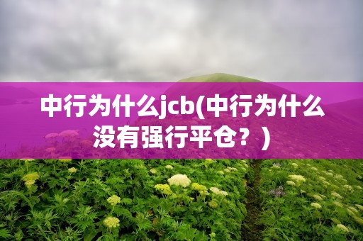 中行为什么jcb(中行为什么没有强行平仓？)