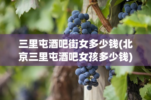 三里屯酒吧街女多少钱(北京三里屯酒吧女孩多少钱)