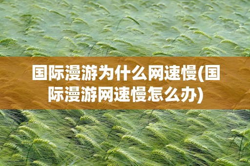 国际漫游为什么网速慢(国际漫游网速慢怎么办)