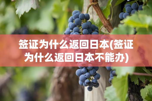 签证为什么返回日本(签证为什么返回日本不能办)