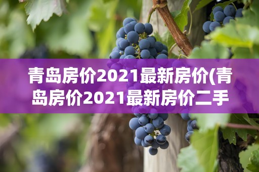 青岛房价2021最新房价(青岛房价2021最新房价二手)