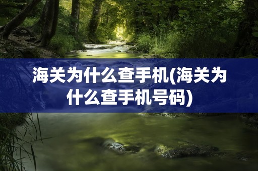 海关为什么查手机(海关为什么查手机号码)