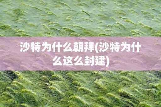 沙特为什么朝拜(沙特为什么这么封建)