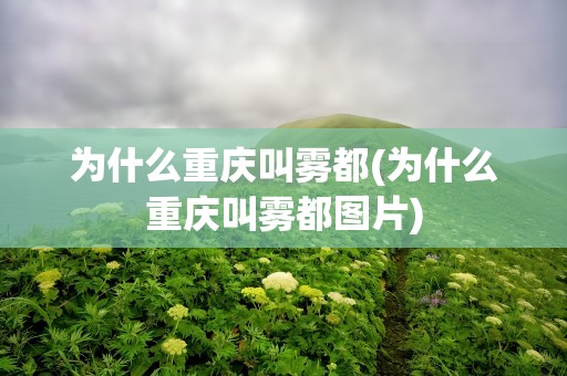 为什么重庆叫雾都(为什么重庆叫雾都图片)