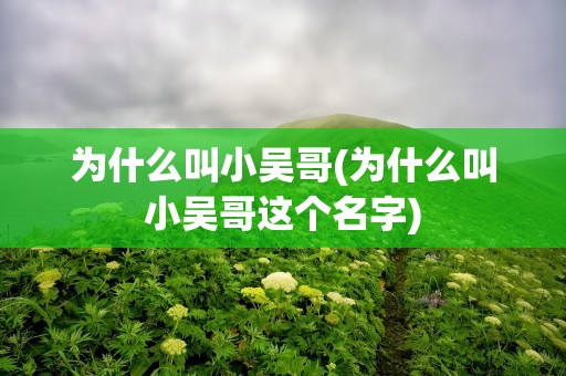 为什么叫小吴哥(为什么叫小吴哥这个名字)