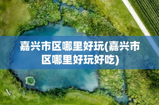 嘉兴市区哪里好玩(嘉兴市区哪里好玩好吃)