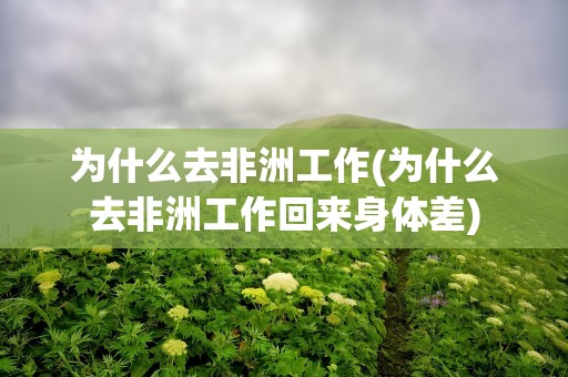 为什么去非洲工作(为什么去非洲工作回来身体差)