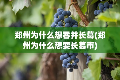 郑州为什么想吞并长葛(郑州为什么想要长葛市)