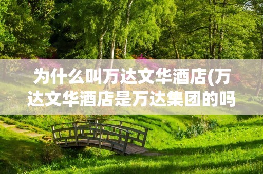 为什么叫万达文华酒店(万达文华酒店是万达集团的吗)