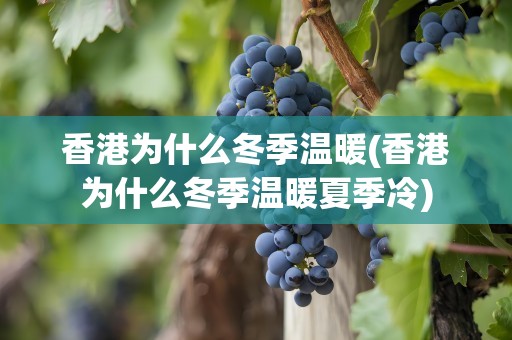 香港为什么冬季温暖(香港为什么冬季温暖夏季冷)
