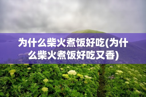 为什么柴火煮饭好吃(为什么柴火煮饭好吃又香)