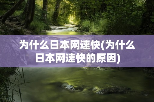 为什么日本网速快(为什么日本网速快的原因)