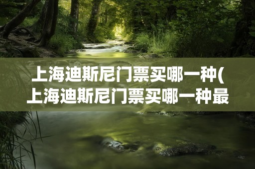 上海迪斯尼门票买哪一种(上海迪斯尼门票买哪一种最划算)