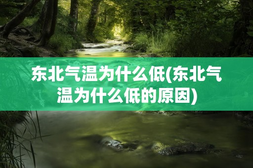 东北气温为什么低(东北气温为什么低的原因)