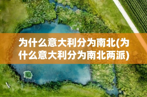 为什么意大利分为南北(为什么意大利分为南北两派)