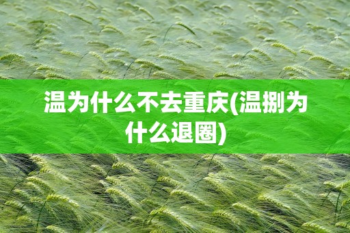 温为什么不去重庆(温捌为什么退圈)