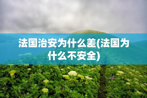 法国治安为什么差(法国为什么不安全)