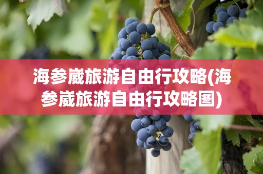 海参崴旅游自由行攻略(海参崴旅游自由行攻略图)