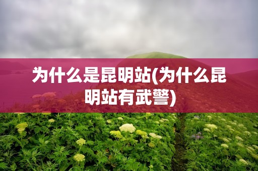 为什么是昆明站(为什么昆明站有武警)