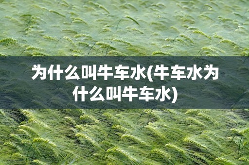 为什么叫牛车水(牛车水为什么叫牛车水)