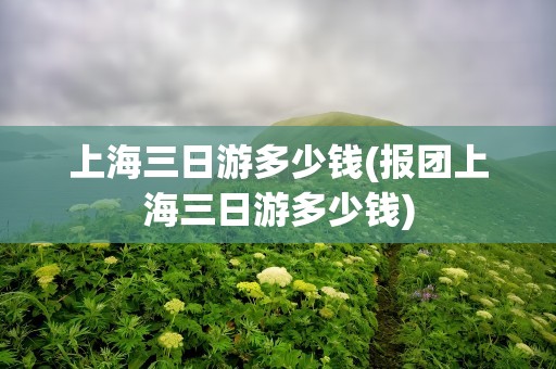 上海三日游多少钱(报团上海三日游多少钱)
