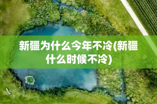 新疆为什么今年不冷(新疆什么时候不冷)