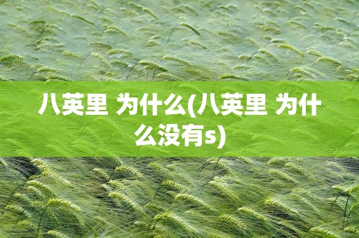 八英里 为什么(八英里 为什么没有s)