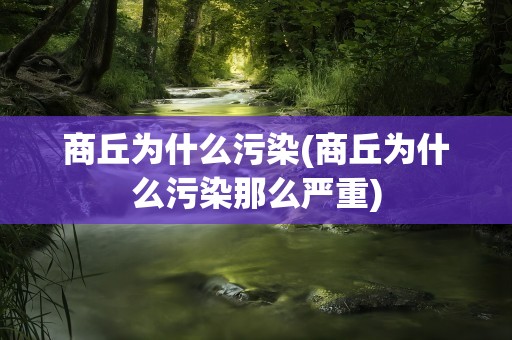 商丘为什么污染(商丘为什么污染那么严重)