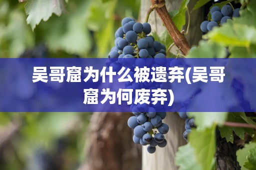 吴哥窟为什么被遗弃(吴哥窟为何废弃)