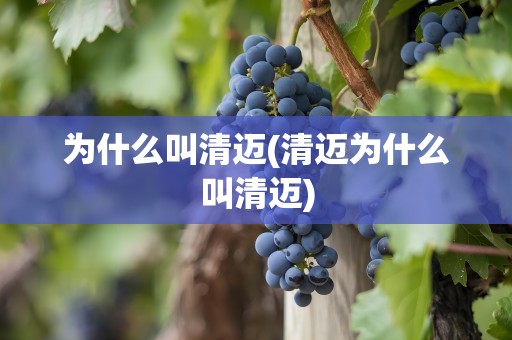为什么叫清迈(清迈为什么叫清迈)