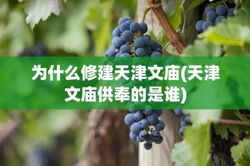 为什么修建天津文庙(天津文庙供奉的是谁)