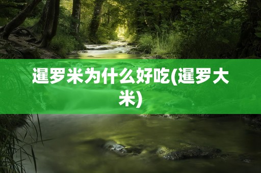 暹罗米为什么好吃(暹罗大米)