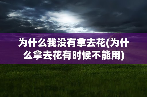 为什么我没有拿去花(为什么拿去花有时候不能用)