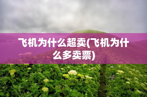 飞机为什么超卖(飞机为什么多卖票)