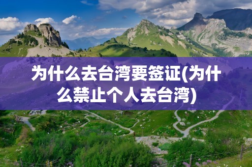 为什么去台湾要签证(为什么禁止个人去台湾)