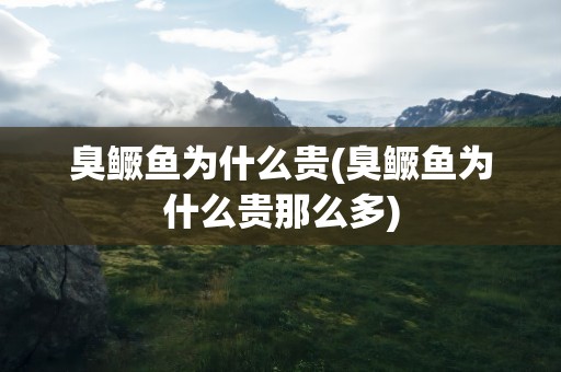 臭鳜鱼为什么贵(臭鳜鱼为什么贵那么多)