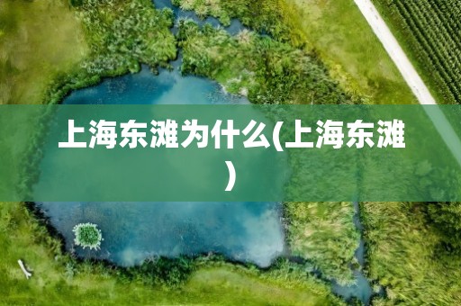 上海东滩为什么(上海东滩)