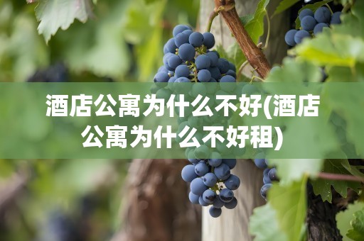 酒店公寓为什么不好(酒店公寓为什么不好租)
